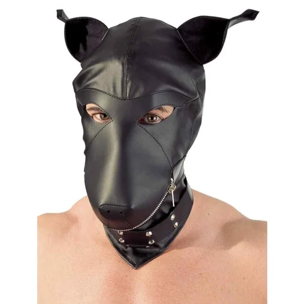 Next Product Image